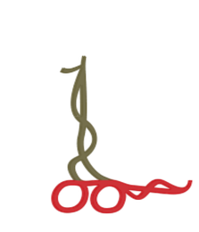 LMC